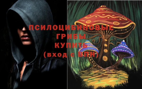гидропоника Куйбышев