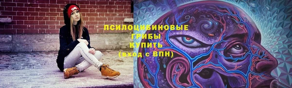 гидропоника Куйбышев
