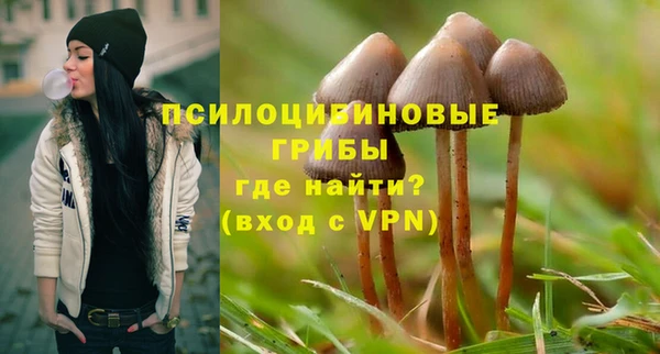 дмт Бикин