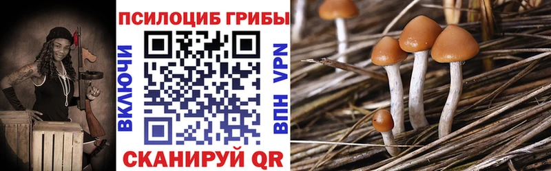 где купить наркоту  Меленки  Галлюциногенные грибы мицелий 